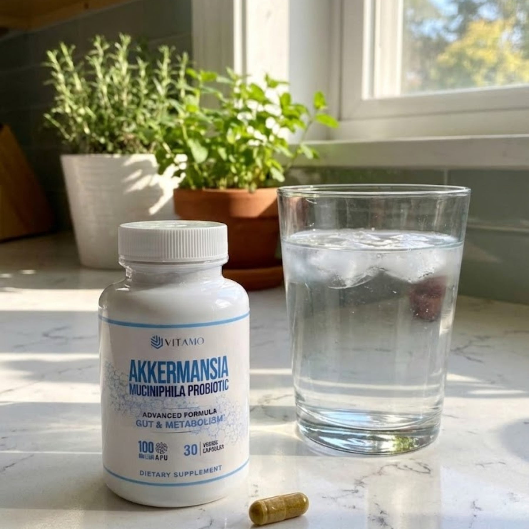 WHY VITAMO AKKERMANSIA?