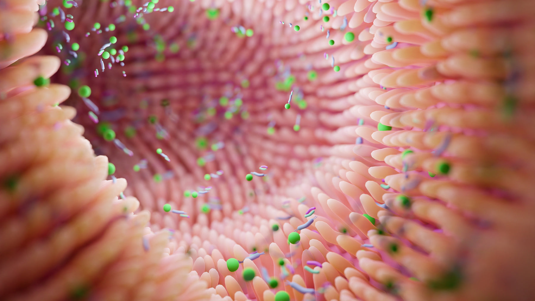 Gut Barrier Repair & Inflammation Control